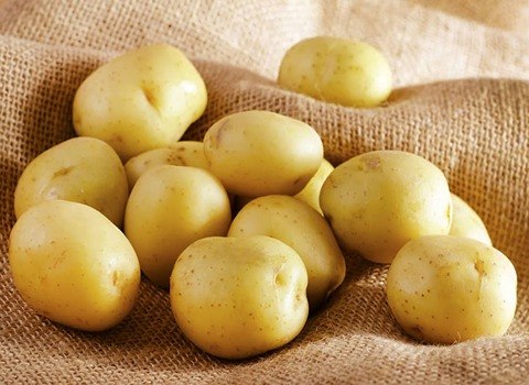 تصویر 4 از قیمت خرید سیب زمینی صادراتی همدان + فروش ویژه